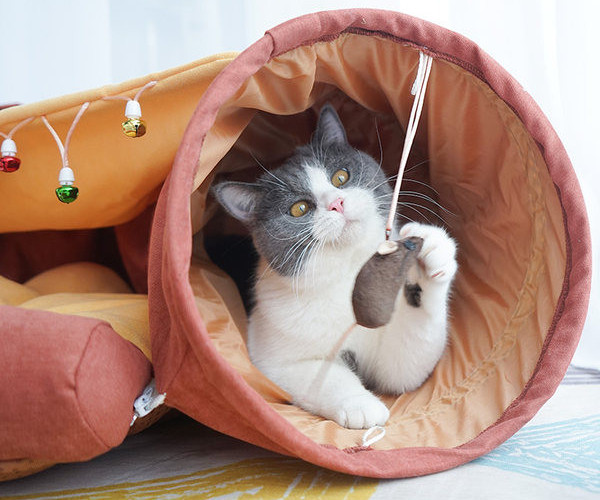 Tunnel kassidele - kolm mudelit