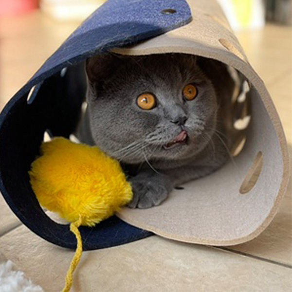 Σήραγγα από τσόχα για γάτες