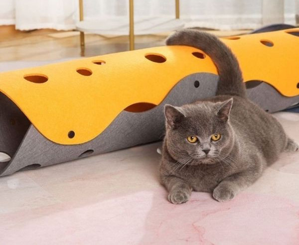 Kasside mängutunnel