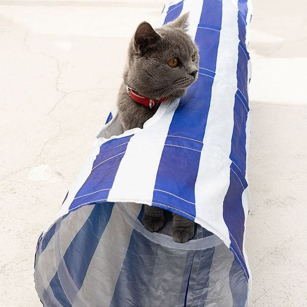 Τούνελ παιχνιδιών για γάτες - πολλά μοντέλα