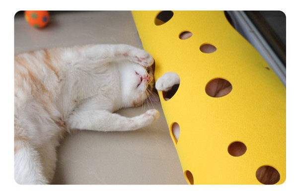 Φορητό τούνελ για παιχνίδι με γάτες