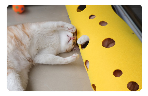 Πτυσσόμενο τούνελ γάτας με πολλές τρύπες