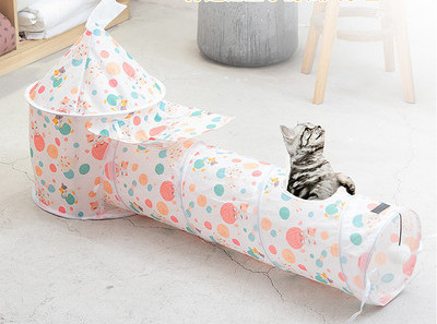 Σκηνή κατοικίδιων γατών σε σήραγγα