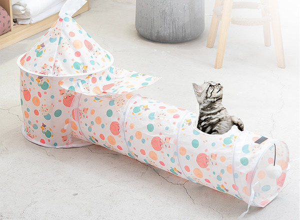 Σκηνή κατοικίδιων γατών σε σήραγγα 