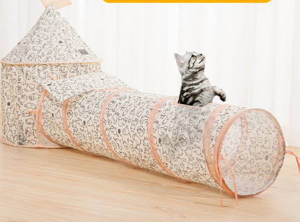 Σκηνή κατοικίδιων γατών σε σήραγγα 