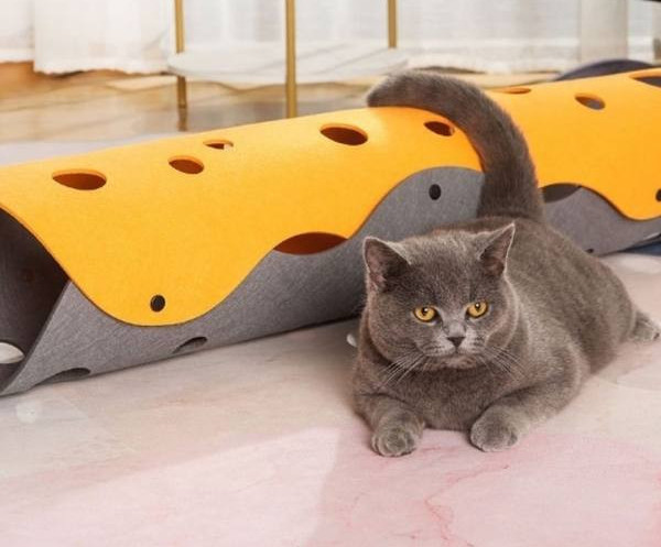 Mitme auguga kokkupandav kassitunnel