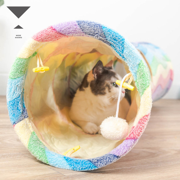 Palus tunnel kassidele