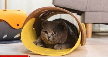 Προκατασκευασμένο τούνελ γάτας για παιχνίδι