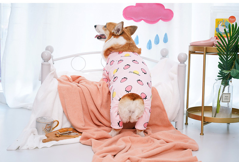 Rochie pentru caine in trei culori cu imprimeu