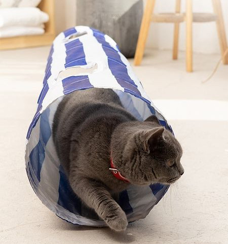 Canvas Tunnel - ένα παιχνίδι για γάτες