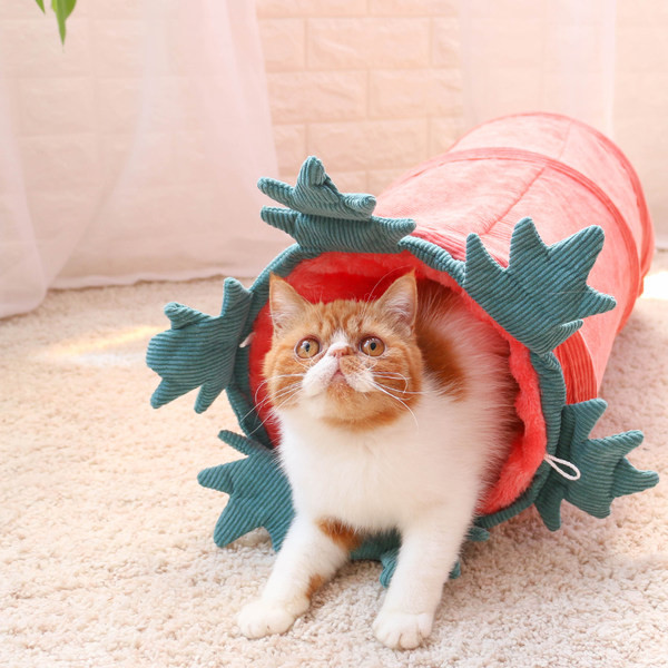 3D-elementidega tunnel kassidele