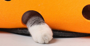 Πτυσσόμενο δίχρωμο τούνελ για γάτες