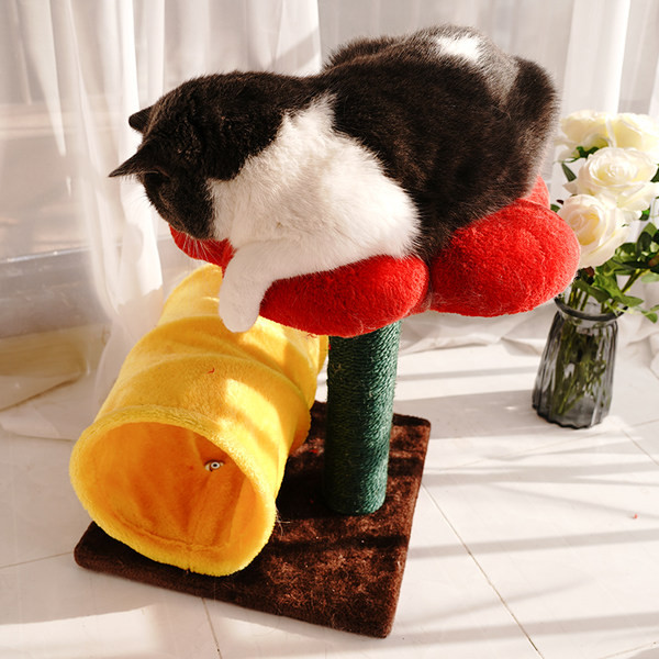 Βελούδινο τούνελ με κρεβάτι για γάτες