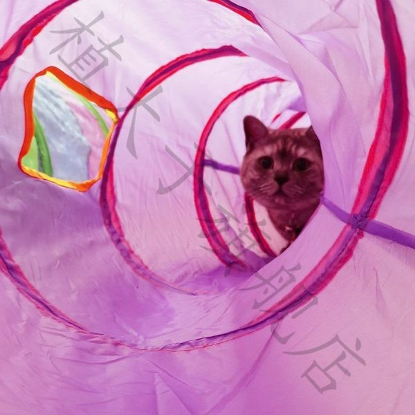 Diferite modele de tuneluri textile pentru pisici de joc