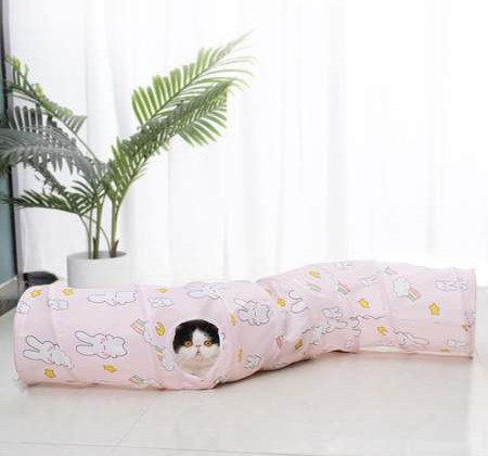 Tunel pentru pisici - mai multe modele