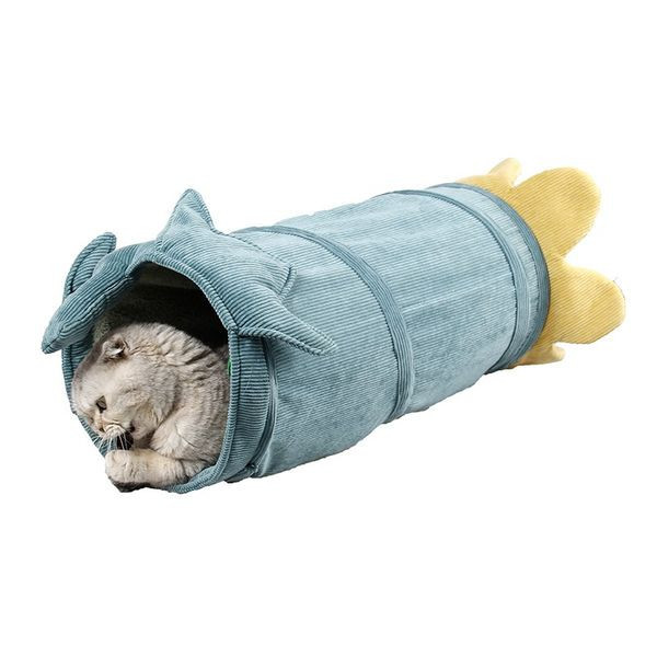 Kassi tunnel - mitu mudelit