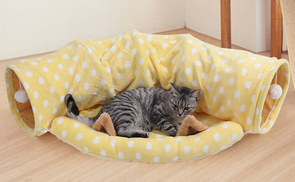 Kolmes mudelis voodiga tunnel kassidele