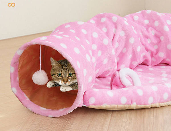 Kolmes mudelis voodiga tunnel kassidele