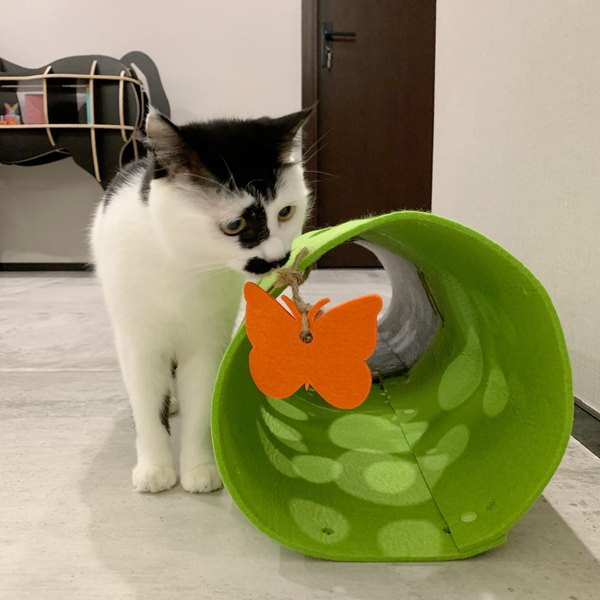 Τούνελ για γάτες με διακόσμηση πεταλούδας