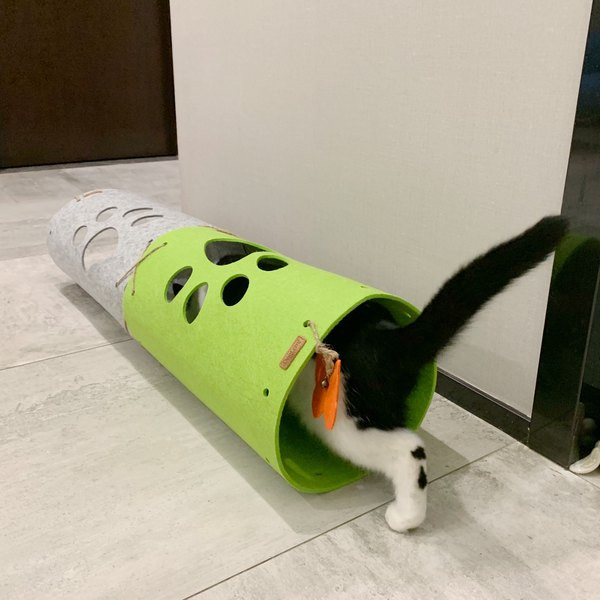 Τούνελ για γάτες με διακόσμηση πεταλούδας