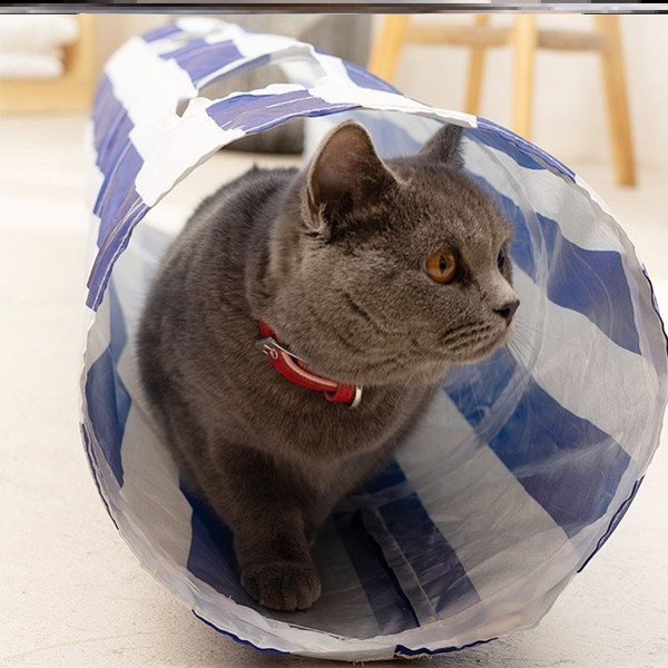 Tunelis katėms kelių modelių