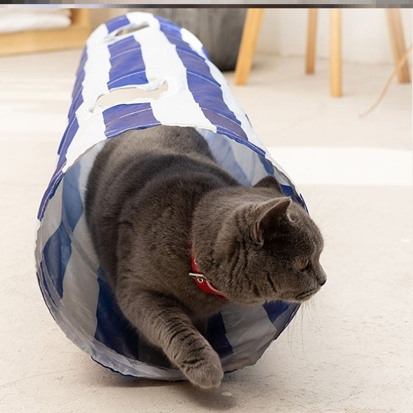 Tunelis katėms kelių modelių