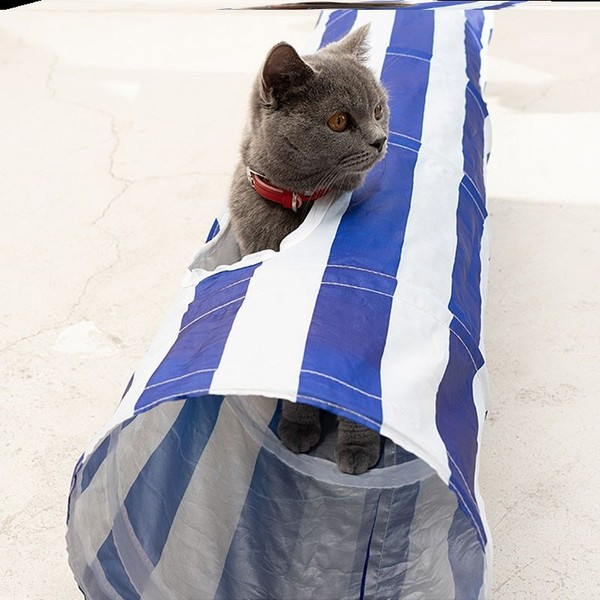 Tunelis katėms kelių modelių