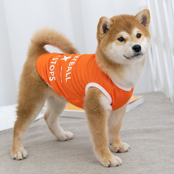 Top modern cu o inscripție pentru câini