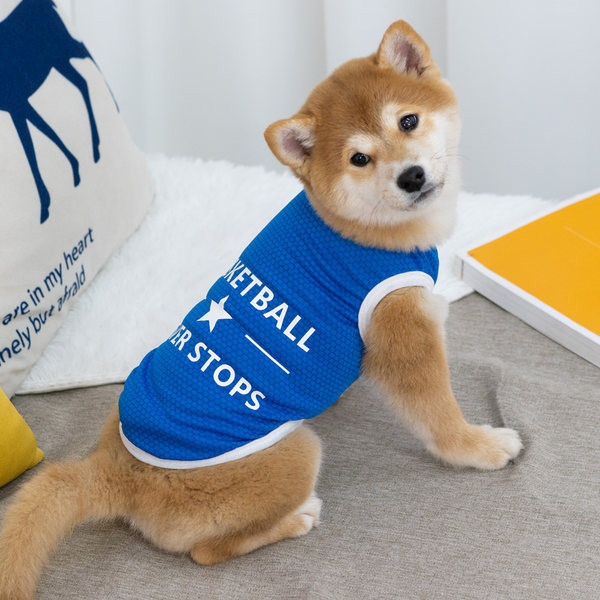 Top modern cu o inscripție pentru câini