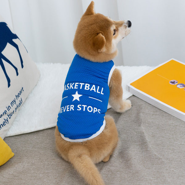 Top modern cu o inscripție pentru câini