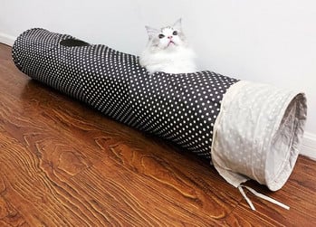 Πτυσσόμενο τούνελ για γάτες με πολλές εξόδους