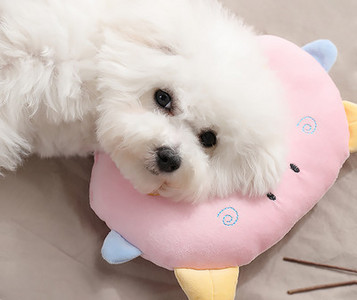 Kelių spalvų pagalvė augintiniui