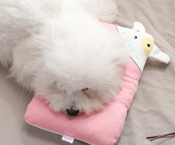 Kelių spalvų pagalvė augintiniui