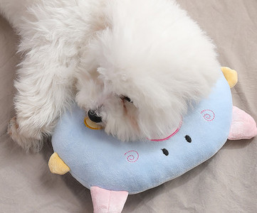 Kelių spalvų pagalvė augintiniui