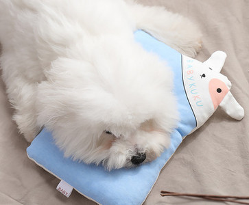 Kelių spalvų pagalvė augintiniui