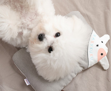 Kelių spalvų pagalvė augintiniui