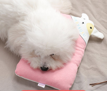 Pliušinė pagalvė su siuvinėjimu - katėms