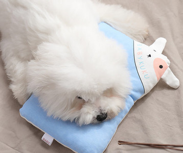 Pliušinė pagalvė su siuvinėjimu - katėms