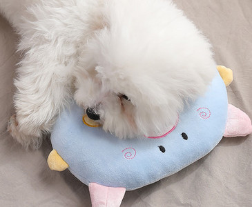 Pliušinė pagalvė su siuvinėjimu - katėms