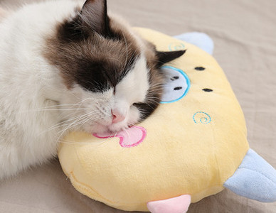 Pliušinė pagalvė su siuvinėjimu - katėms