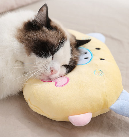 Pliušinė pagalvė su siuvinėjimu - katėms