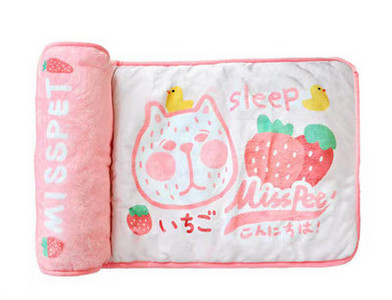 Spalvota pagalvė katėms