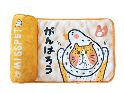 Spalvota pagalvė katėms