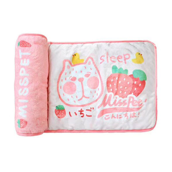 Spalvota pagalvė katėms