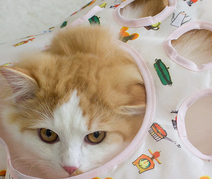 Privjesak tunel - za mačke