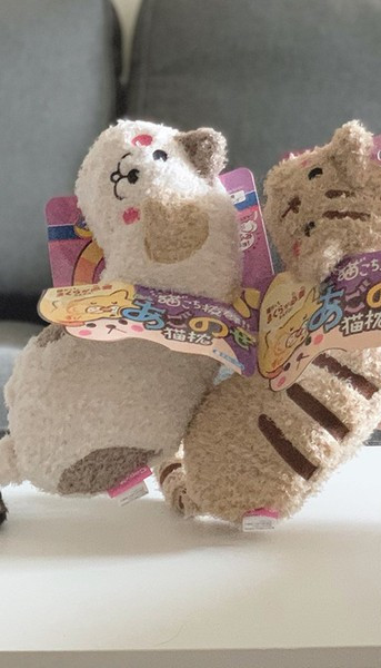 Väike padi kassidele