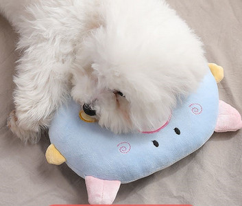 Palus padi kassidele - erinevad mudelid