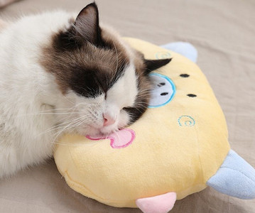 Palus padi kassidele - erinevad mudelid