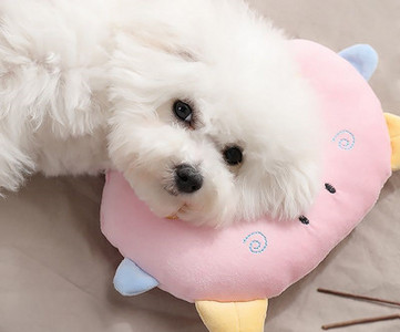 Palus padi kassidele - erinevad mudelid