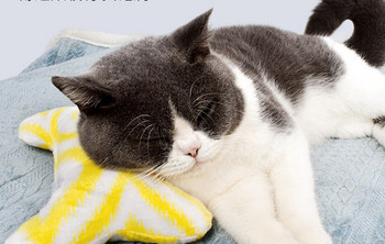 Μαξιλάρι σε τρία χρώματα - για γάτες